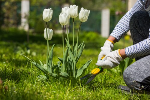 Gardener working in an Abbey Wood garden with tools