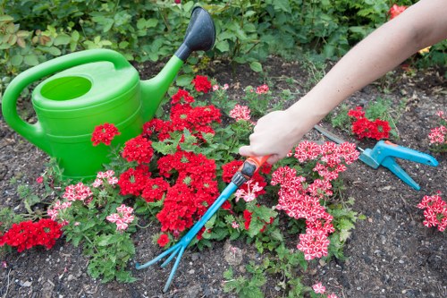 Gardening tools and a clipboard representing policy