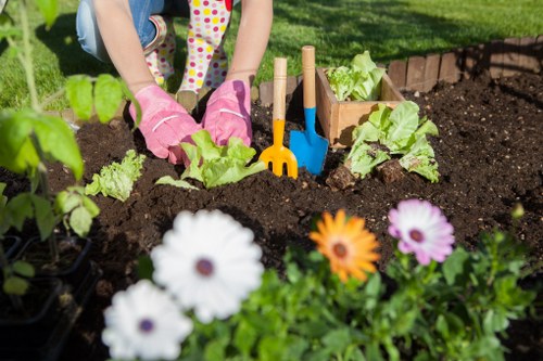 The image shows a close-up of a garden bed in a residential outdoor space, with dark, rich soil and several young lettuce plants growing along the center. A pair of children's hands, wearing pink gardening gloves, are seen planting or tending to the vegetables. In the foreground, there are brightly coloured flowers, including white, orange, and purple blooms, adding visual interest and natural colour contrast to the scene. Behind the garden bed, there are small gardening tools, such as a blue trowel and a yellow rake, leaning against a wooden border that separates the planting area from a neatly trimmed lawn with lush, green grass. In the background, a backdrop of mature trees and shrubs provides framing and privacy, indicating a well-maintained outdoor environment suitable for family gardening activities. The overall setting appears to be in daytime with natural sunlight illuminating the scene, and the area looks tidy and organized for outdoor gardening, reflecting the kind of gardening services offered by Gardening Services Abbey Wood in the local postcode and surrounding areas. The image captures an engaging moment of vegetable planting in a landscaped garden space, emphasizing garden maintenance, planting, and outdoor care.